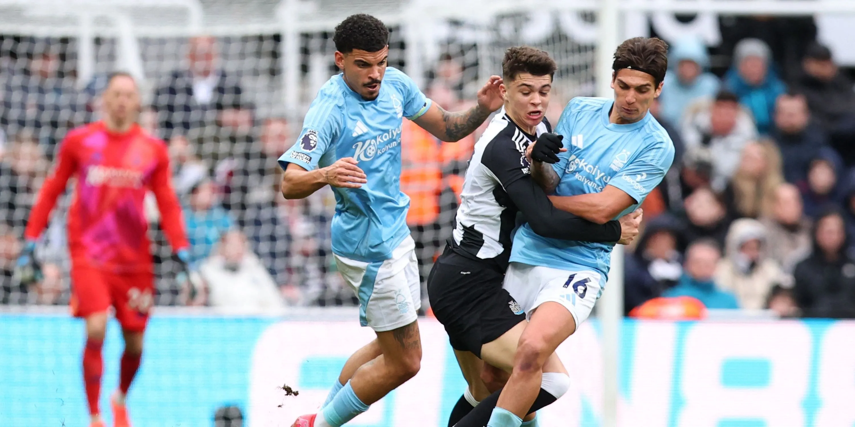 Tiền vệ Nicolas Dominguez thi đấu trong màu áo Nottingham Forest