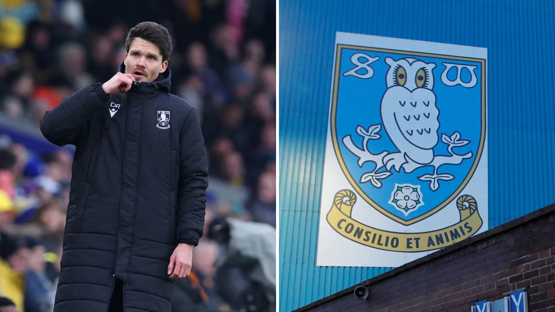 HLV Danny Röhl của Sheffield Wednesday trả lời phỏng vấn sau trận đấu, hé lộ về tương lai