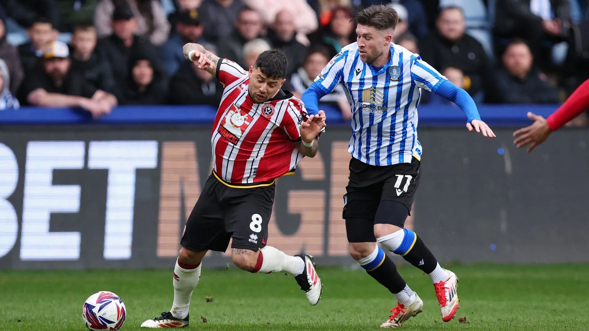 Josh Windass trong màu áo Sheffield Wednesday đối đầu Sheffield United