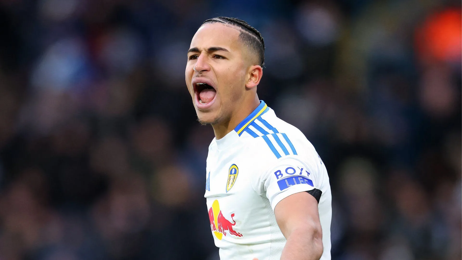 Wolves nhắm bộ đôi hậu vệ Sunderland: Nguy cơ hiển hiện trước thềm play-off
